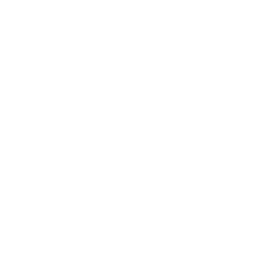 Electric Installation (White).png