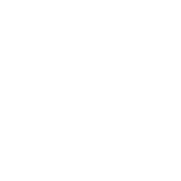 Indoor Lighting (White).png